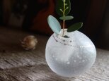 水の形ー野の花vaseの画像