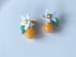 ミカンの花のイヤリング(ポストピアス)
