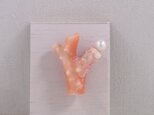 深海からの贈り物の画像
