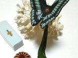 蝶のかんざし（小）アオスジアゲハの画像