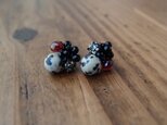 bijou pierce Dalmatian … garnetの画像