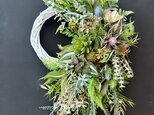 Green wreath VIIの画像