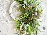 Green wreath VIIの画像
