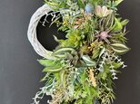 Green wreath VIIの画像