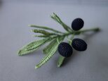 Olive ⅰの画像