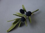 Olive ⅱの画像
