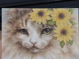 こねこねこ様予約済み　「ひまわり」の画像