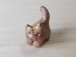 ちび猫＝＾人＾＝茶ネコの画像