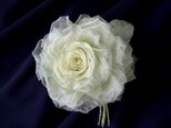 クリーム色の薔薇 * オーガンジー製 * コサージュ  髪飾の画像