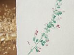 絵葉書【萩】の画像