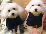 （お名前入りOK）✩オーダーメイド50cm✩　ワンちゃん、猫ちゃんのオーダークッションの画像