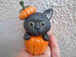 ハロウィン★ねこ①の画像