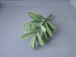 受注生産 * sageの画像