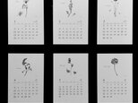 《80%OFF》植物語(しょくぶつがたり)2020  ポストカードカレンダーの画像