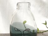 catsの画像