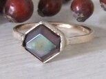 rainbow garnet*14kgf ring