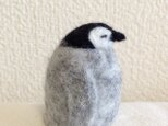 《受注制作》寝ペンギンの赤ちゃんの画像