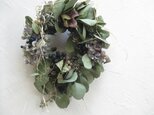 ユーカリの秋wreathの画像