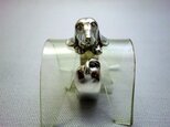 バセットハウンド　リングの画像