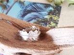 【14号】silver925 palm leaf ringの画像