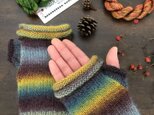 受注制作【クリスマス】イタリア毛糸のハンドウォーマーの画像