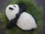 眠る子パンダの画像