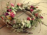 薔薇と白樺の画像