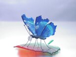 《CZAR1210様オーダー品》ガラスの蝶 ルリタテハ on リーフの画像