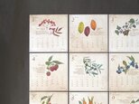 木の実の図鑑風カレンダー2020の画像