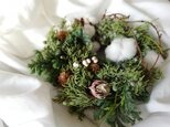 綿の実とジュニパーのwreath