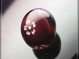 【再出品】 とんぼ玉 「 夜桜 」　の画像