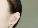 Lapis lazuli ＊ earringの画像