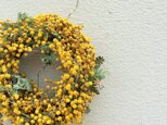 再販・手のひらサイズの小さいミモザのリース　の画像
