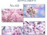 No.103 春爛漫の桜たちのカード　　名刺サイズサンキューカード   40枚の画像