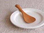 サービングスプーン 017