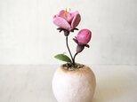 3483.bud 粘土の鉢植え モモ