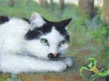 かまきりとねこの画像