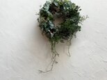 ユーカリと紫陽花のwreathの画像