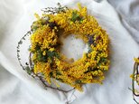 ミモザとラベンダーのwreath