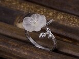 ＜受注制作＞サンカヨウのリング  朝露を吸って花びらが透明になる美しい花「サンカヨウ」フリーサイズ　0215の画像