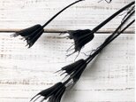 ニゲラオリエンタリス　3本セット　ニゲラ　ブラック　そのまま飾れるロングステム3本セット　ドライフラワー花材　ニゲラの画像