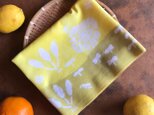 柿渋・草木染め手ぬぐい 春の菜園の画像