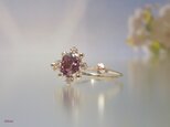 ブルームブロッサム リング   ラベンダーピンク（Bloom Blossom Ring)の画像