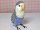 リアルサイズ　 コザクラインコ バイオレット  羊毛フェルト　受注作成　羊毛インコ　メモリアル　うちの子オーダー可能　ラブバードの画像