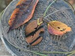 秋のお供に♪柿づくしの落ち葉のペンダント♪の画像
