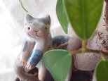 引っかけ猫＝＾人＾＝青ぶち猫の画像