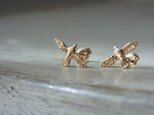 鳩のピアス K10の画像