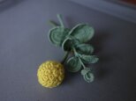 受注生産 * クラスペディアとユーカリの画像