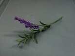bouquet of lavenderの画像