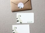 白い紫陽花のメッセージカード 20枚の画像
